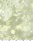 Nani IRO 2023 Lei Nani Color C Light Green | Organic Double Gauze