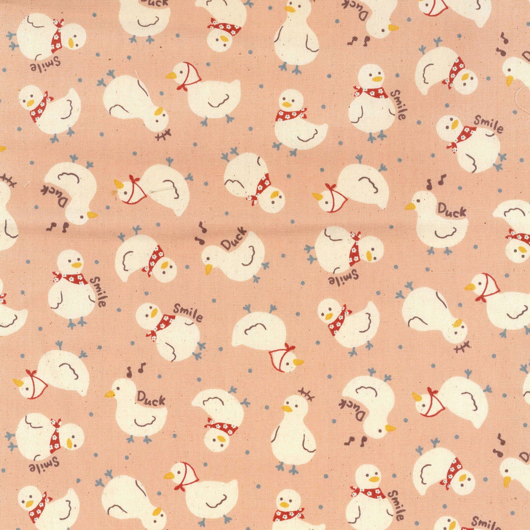 Momo's Favorite Duck in Pink | Oxford Cotton