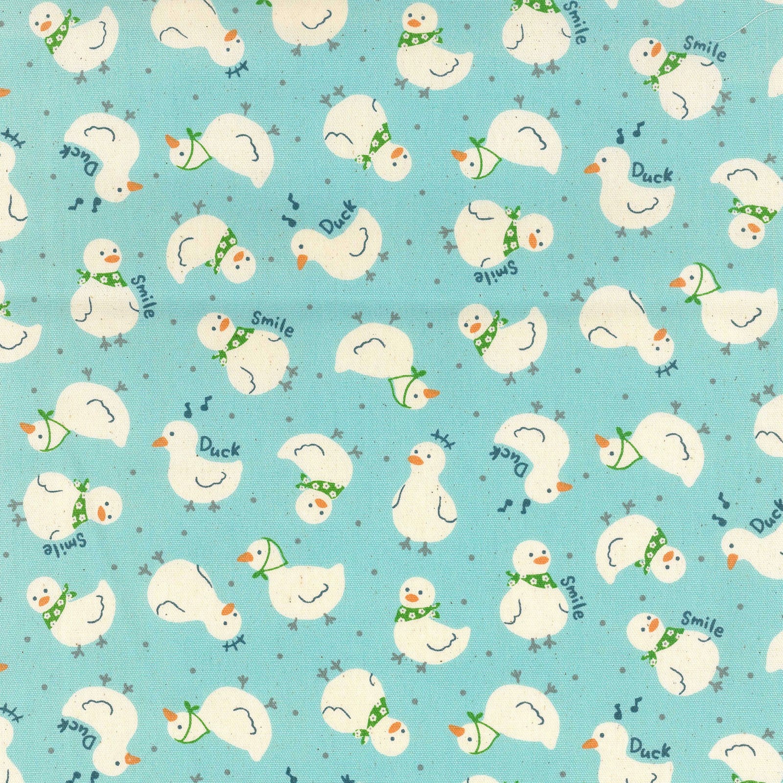 Momo&#39;s Favorite Duck in Blue | Cotton Oxford