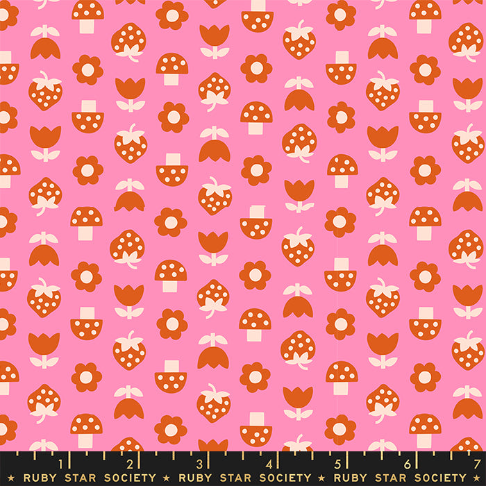 Picture Book - Strawbitties in Flamingo | Quilting Cotton