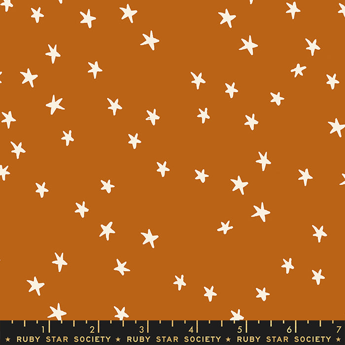 Starry 2023 - Starry in Saddle | Quilting Cotton