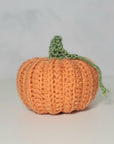 Crochet Pumpkin - Small