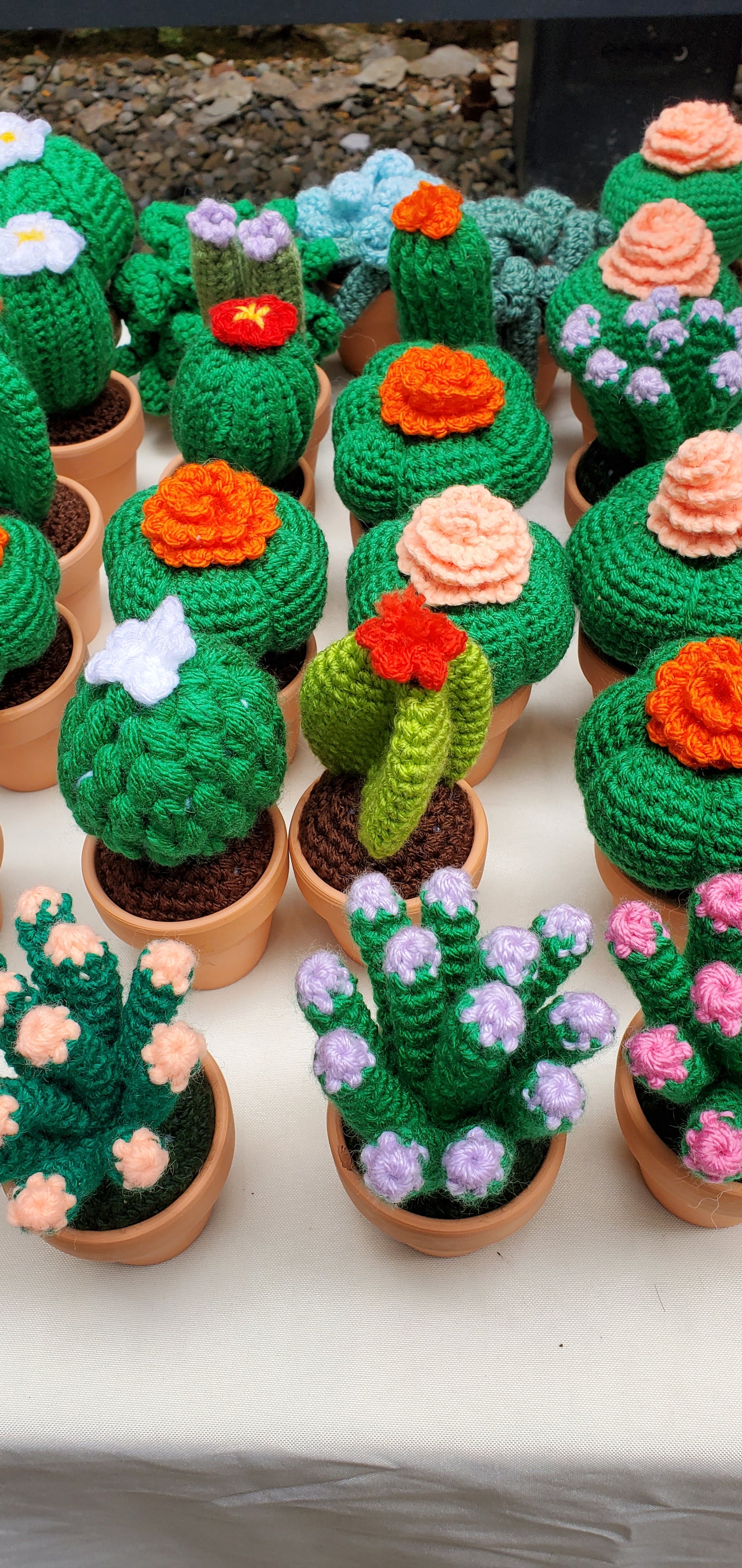 Cactus Crochet Plant
