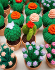 Cactus Crochet Plant