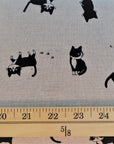 Black Cat in Cream | Canvas