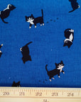 Black Cat in Blue | Canvas