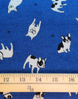 Black Dog in Blue | Canvas