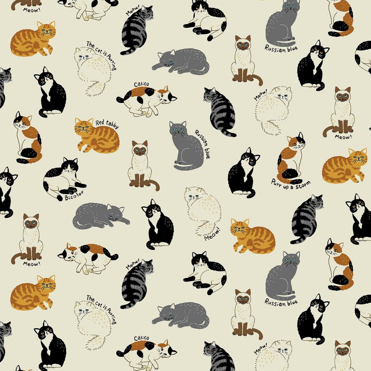 Kawaii Animal - Cats in Cream | Canvas