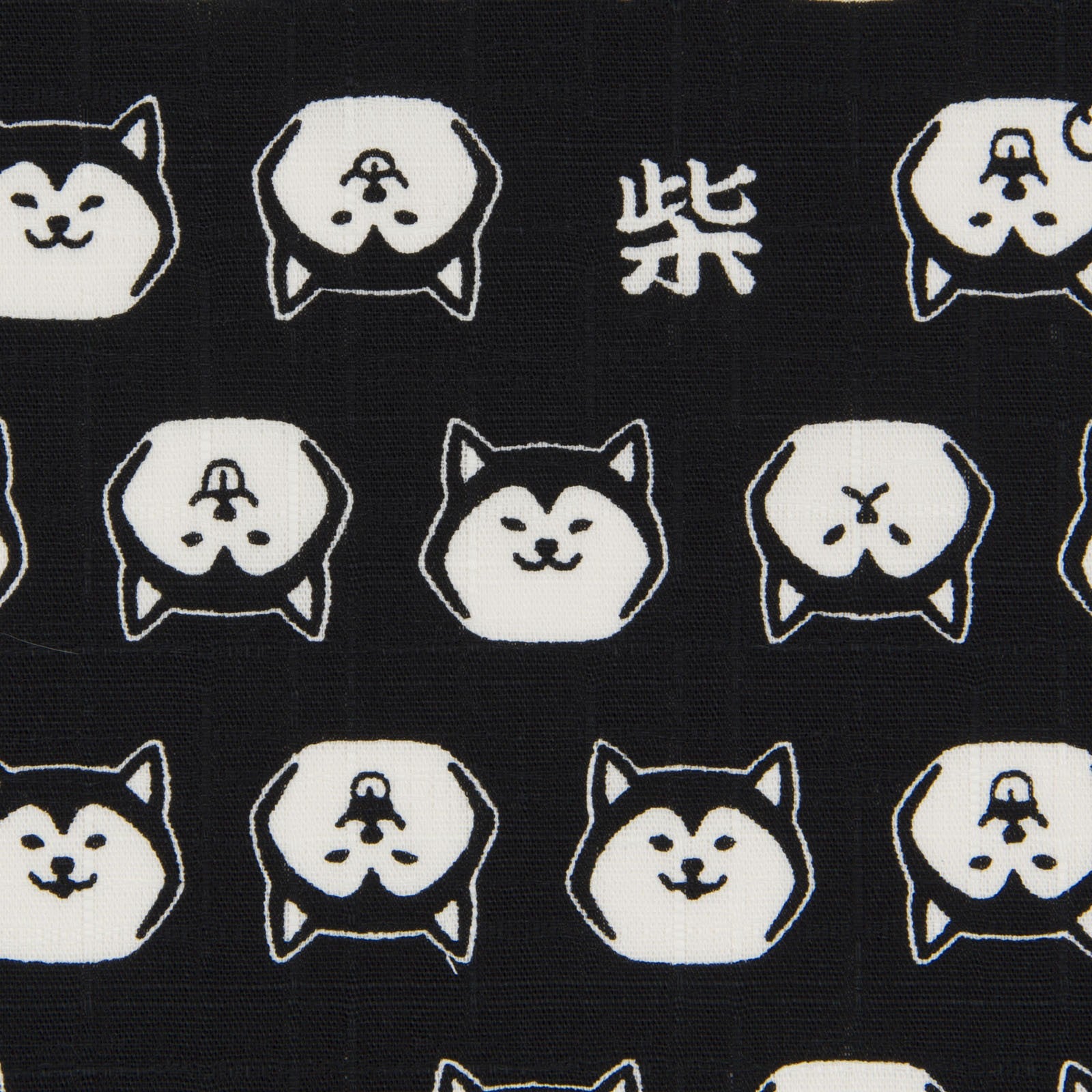 Shiba in Black & White | Dobby