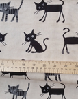 Cocoland - Black Cat | Oxford Cotton