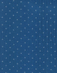 Japanese Yarn Dyed Dots in Blue | Double Gauze
