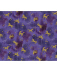 Pastel Pop Shooting Star Unicorn in Galaxy | Double Gauze