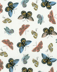 English Garden - Monarch in Cream Metallic | Cotton Lawn