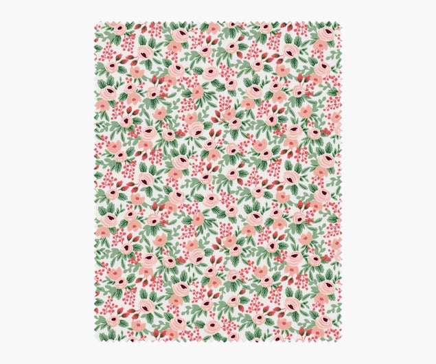 Primavera - Rosa in Rose