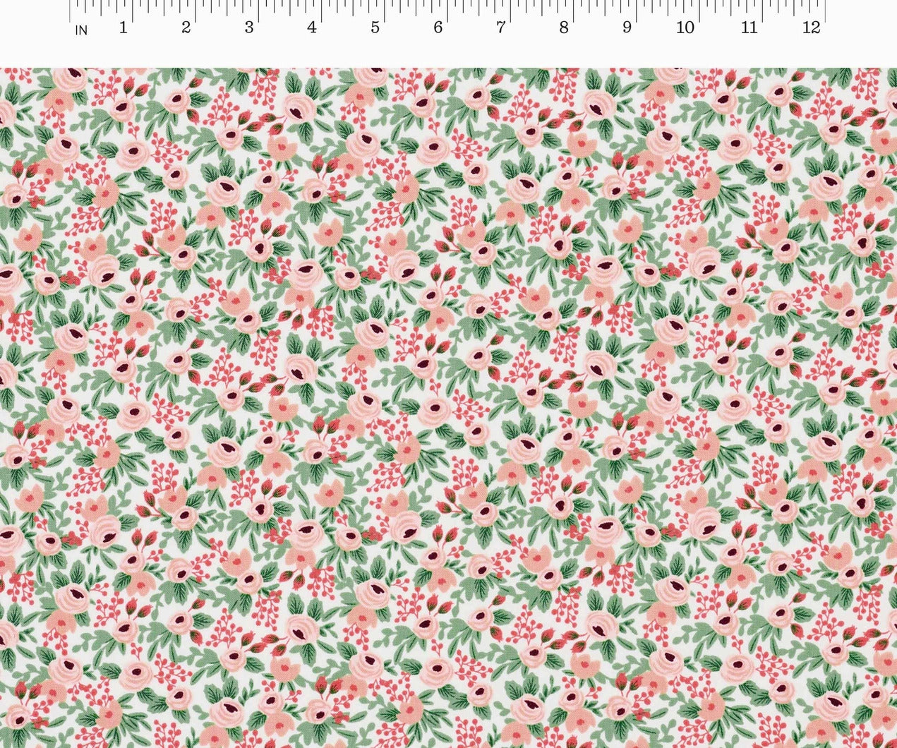 Primavera - Rosa in Rose