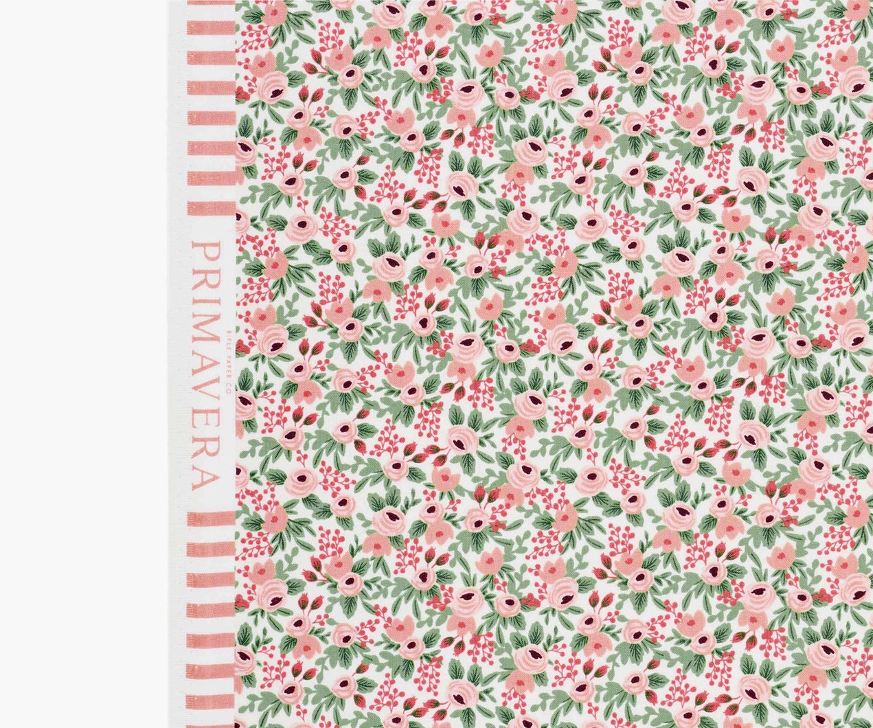 Primavera - Rosa in Rose