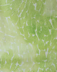Japanese Cotton Lawn