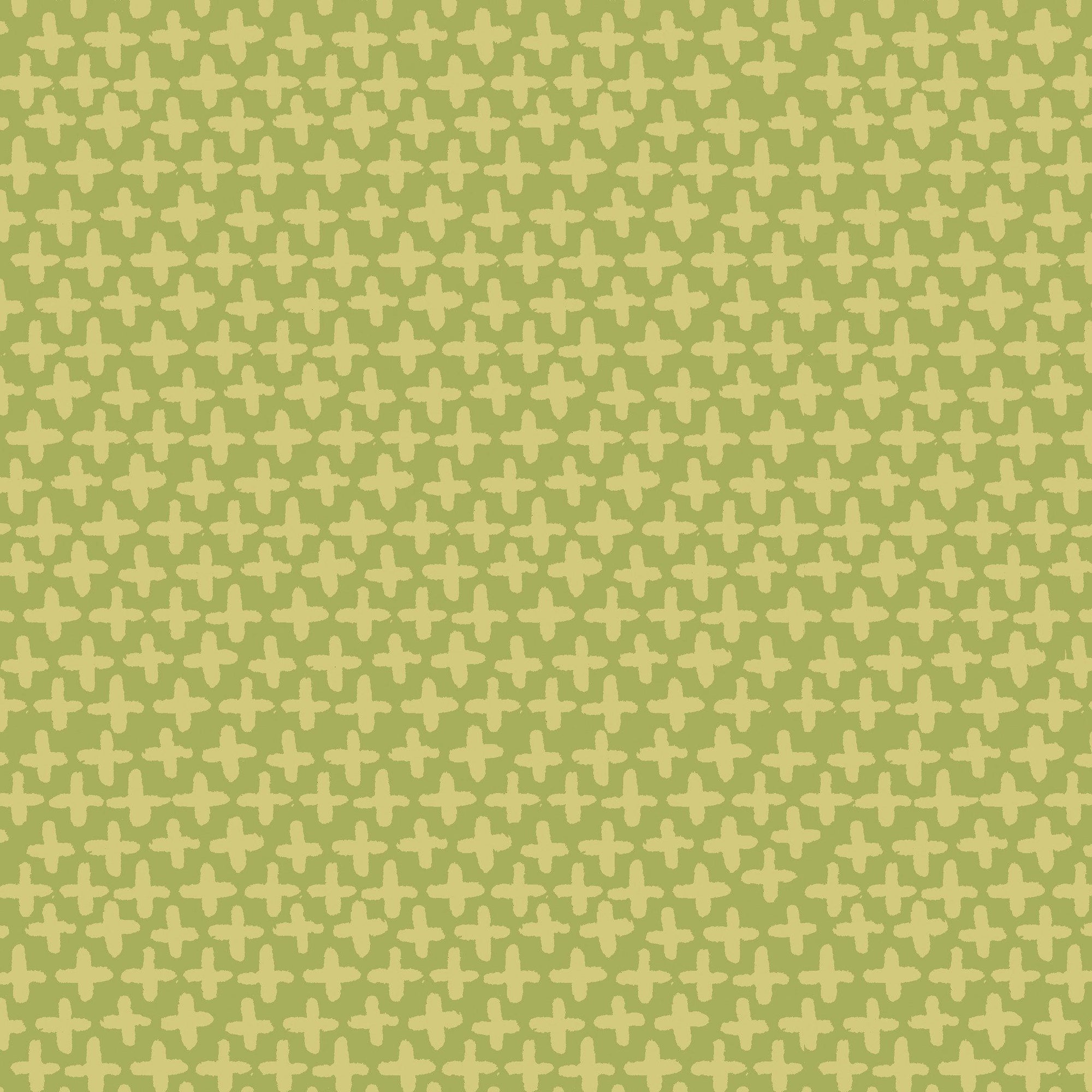 Organic Cotton Poplin