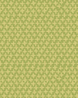 Organic Cotton Poplin