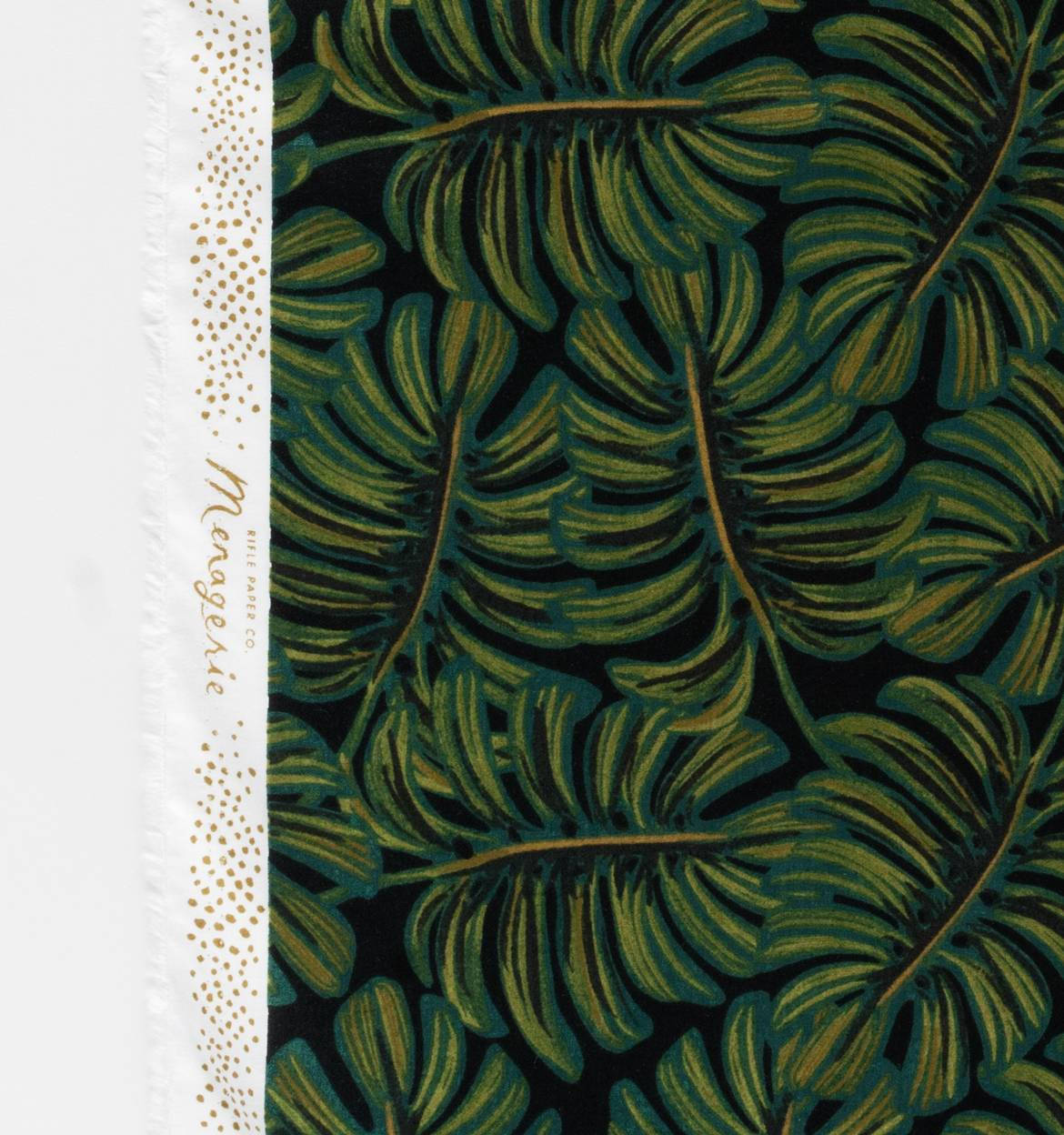 Menagerie Monstera Midnight