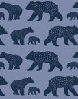 Bear Fabric