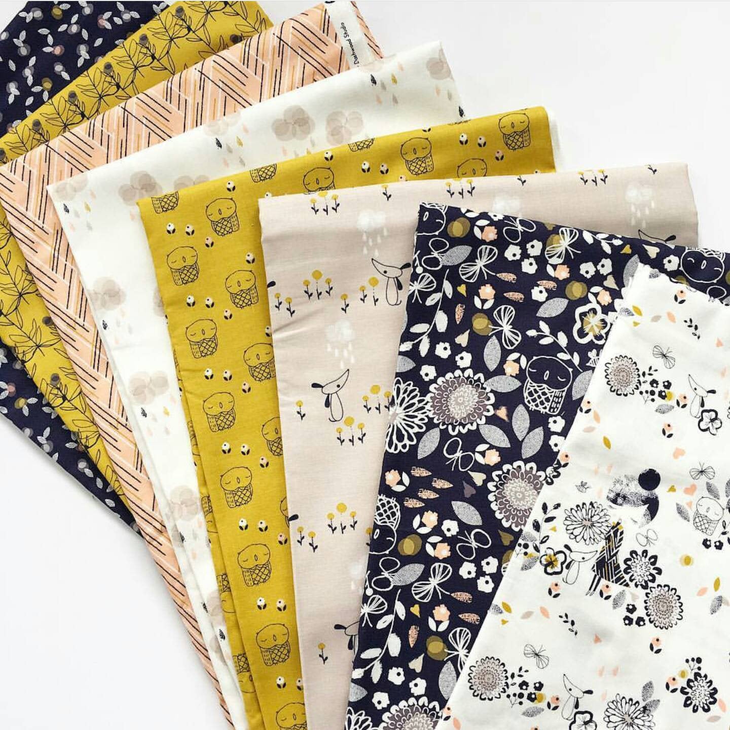 Dashwood Studio Autumn Rain