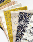 Dashwood Studio Autumn Rain
