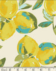 Yuma Lemons Mist Canvas