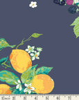 Frutteria Bleu