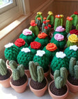Cactus Plant