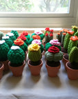 Cactus Plant