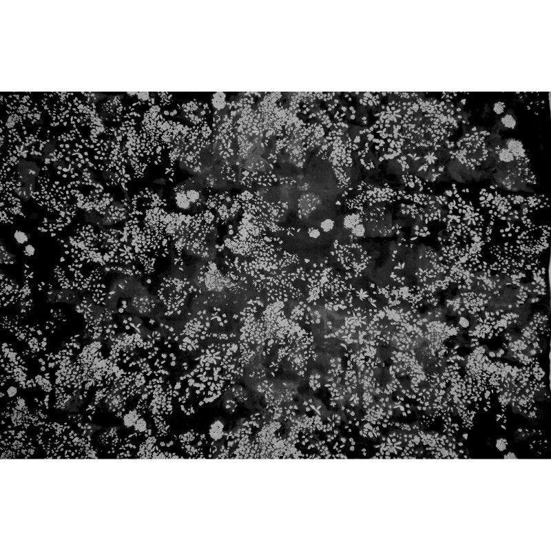 Nani IRO Fabric
