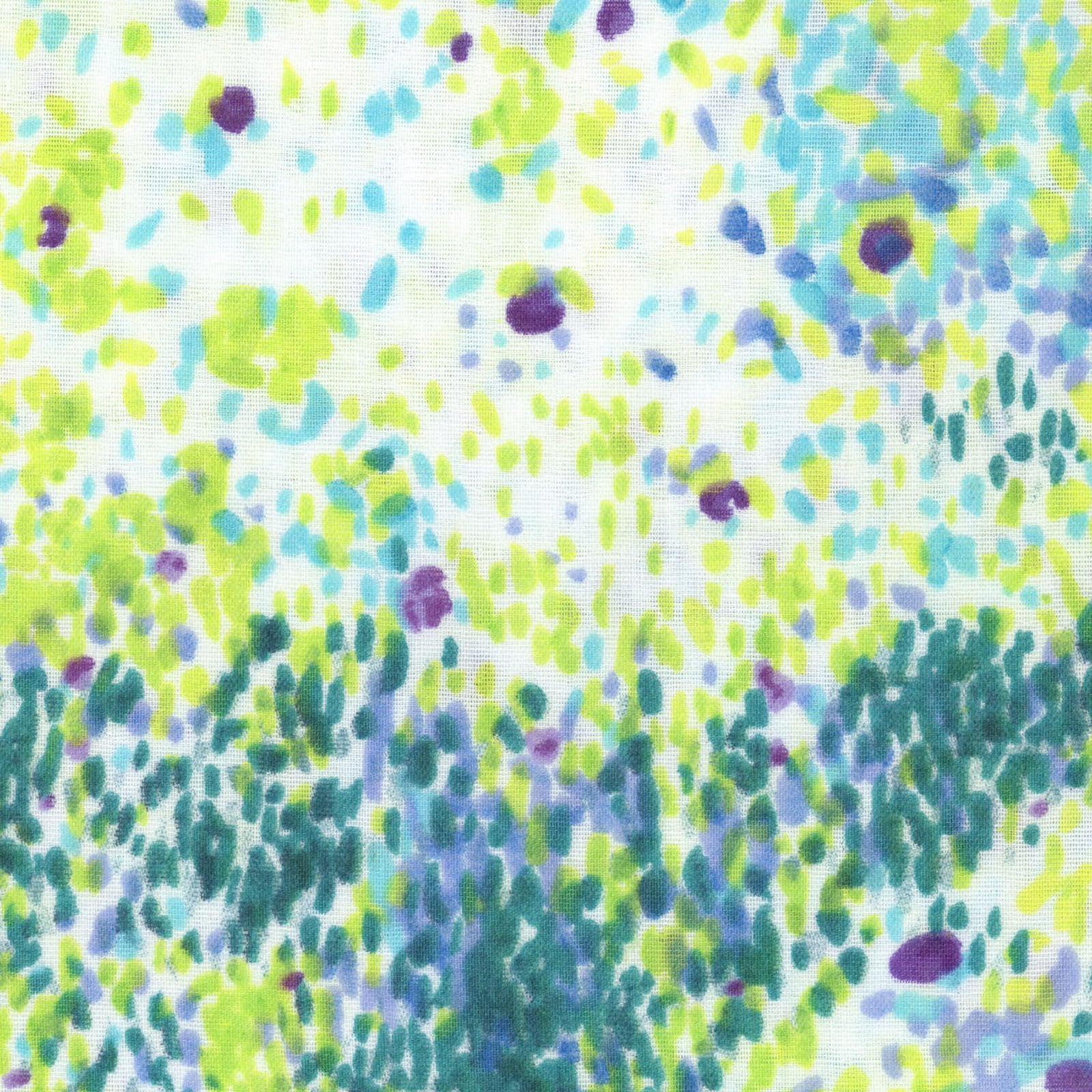 Nani Iro Birds Eye