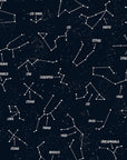 Glow in the Dark Fabric