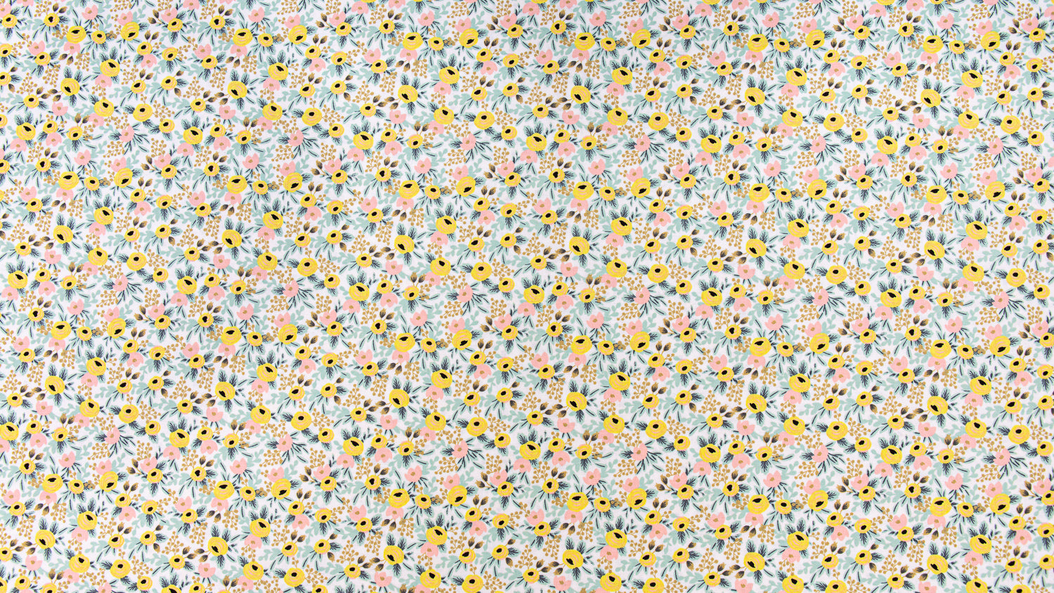 Primavera - Rosa in Cream