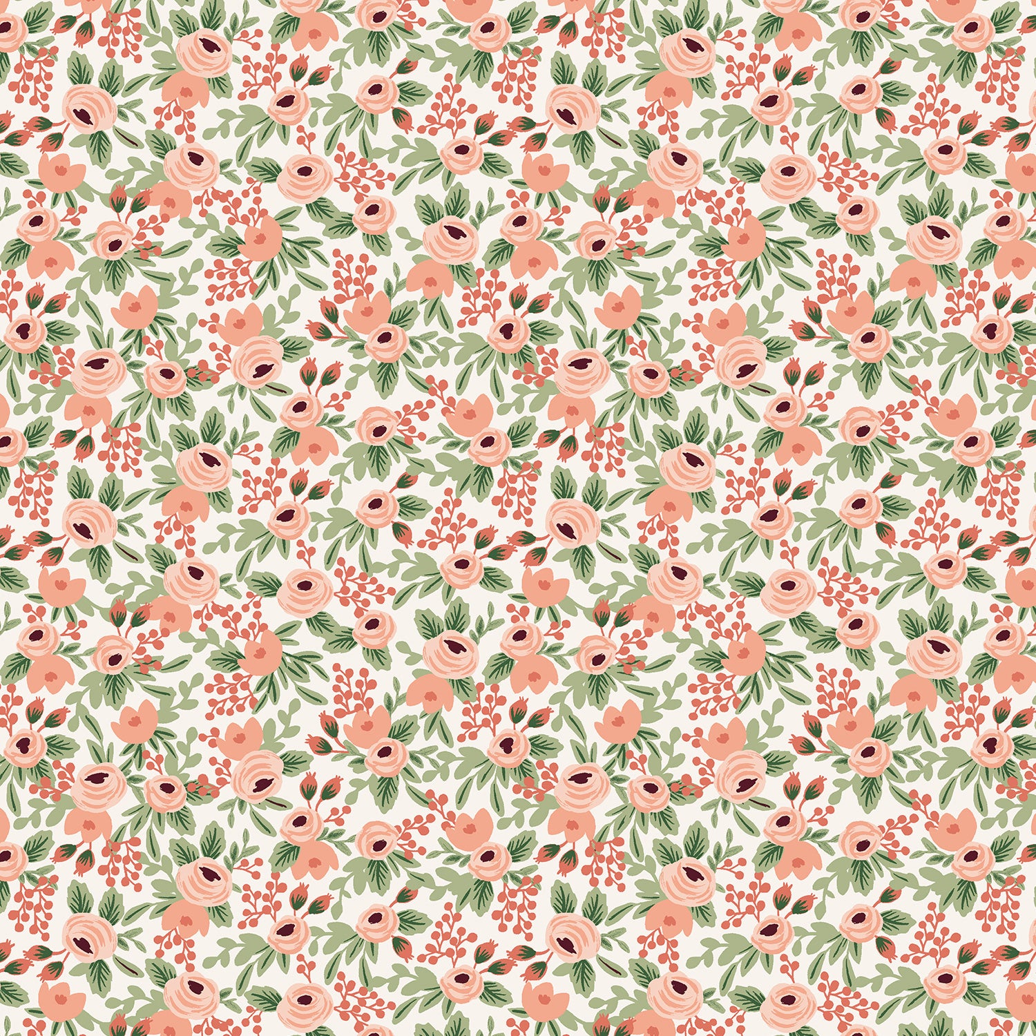 Primavera - Rosa in Rose