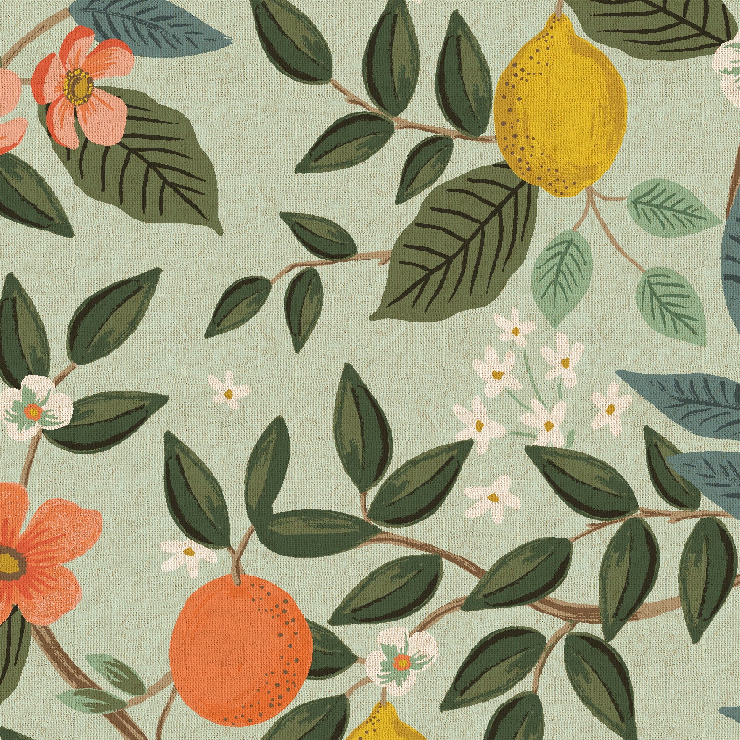 Bramble - Citrus Grove in Mint | Unbleached Canvas
