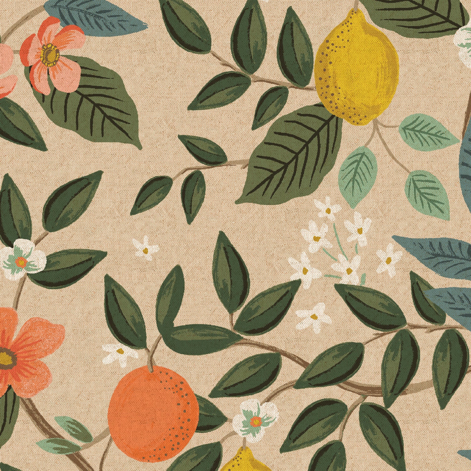 Bramble - Citrus Grove in Natural | Unbleached Canvas