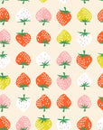 Strawberry - Strawberry in Shell | Quilting Cotton