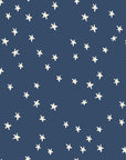 Starry 2023 - Starry in Bluebell | Quilting Cotton