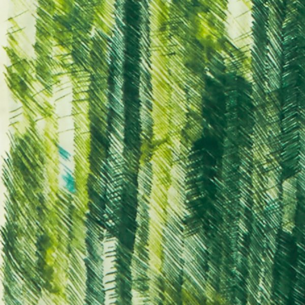 After the Rain in Green Color B | Double Gauze