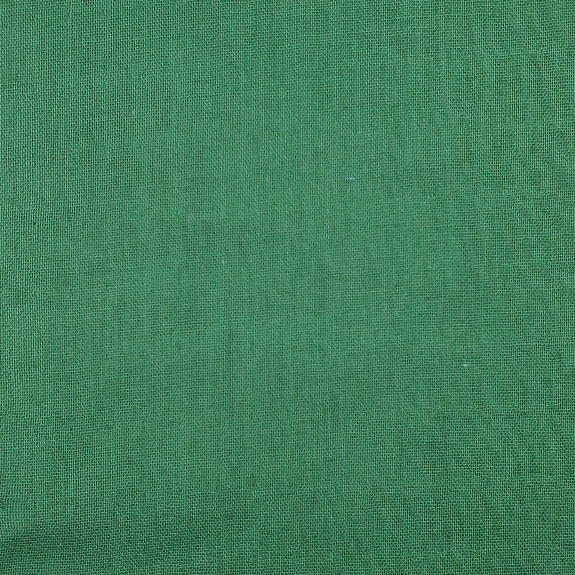 Ichi No Kire Solid Color 16 Winter Green | Double Gauze