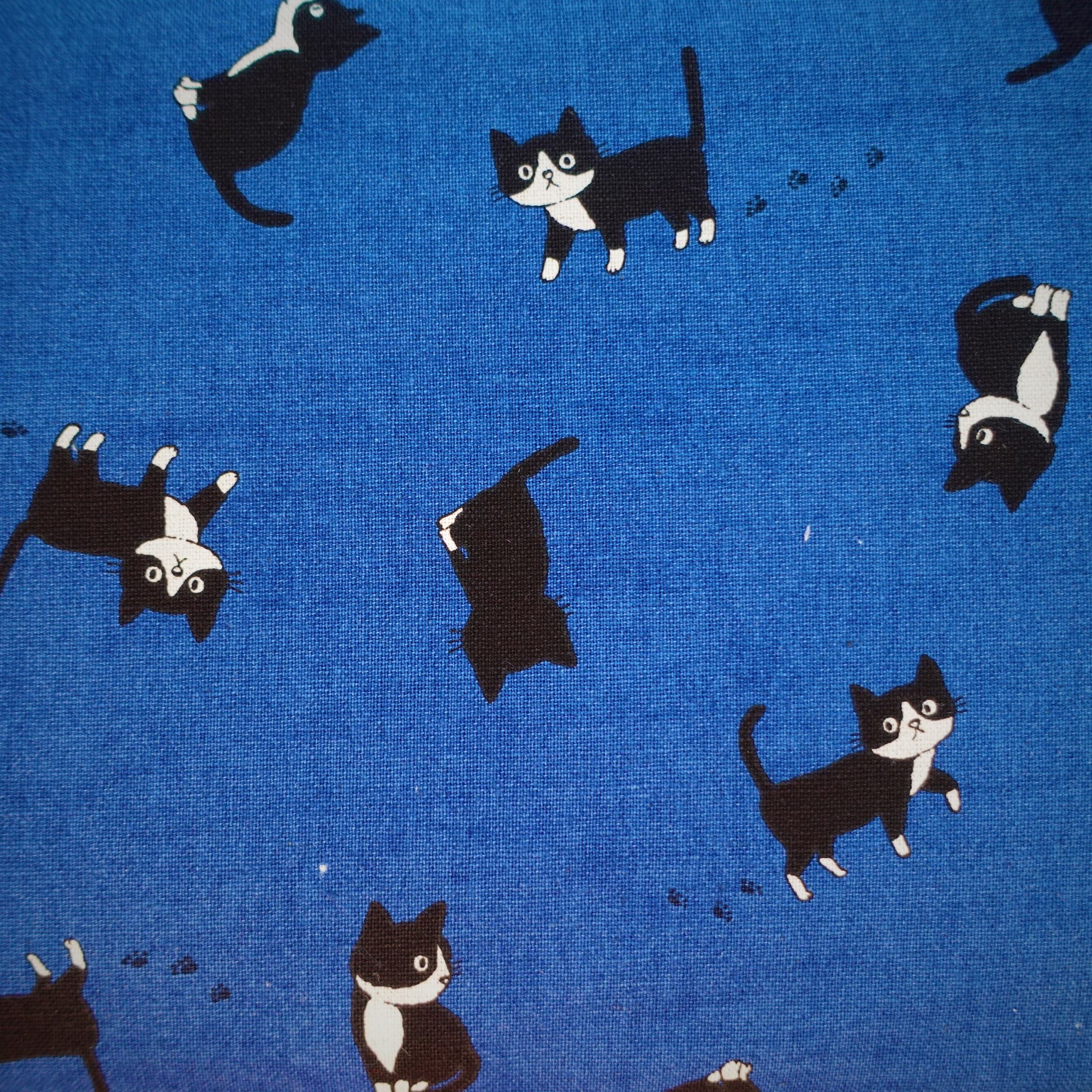 Black Cat in Blue | Canvas