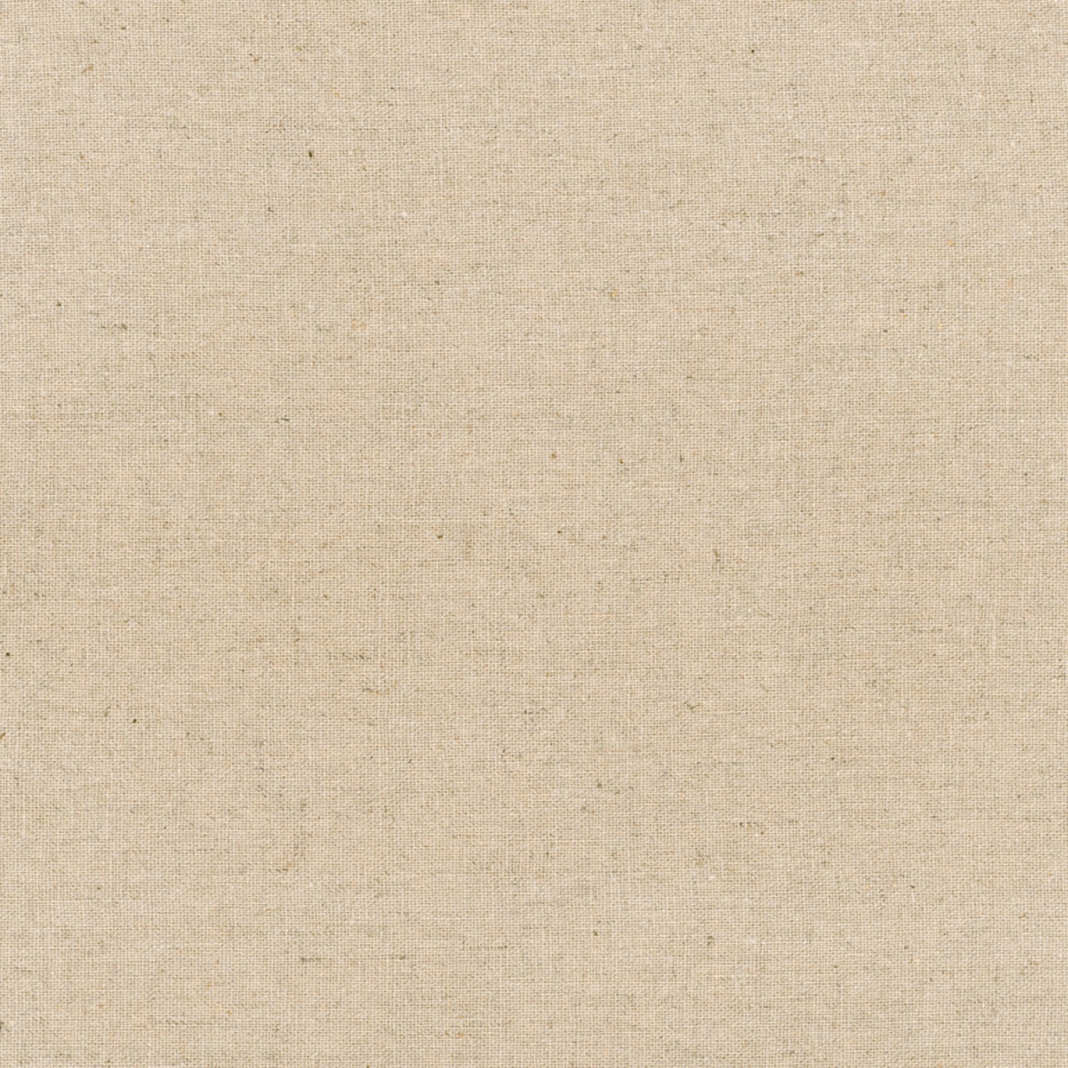 Solid Beige | Canvas