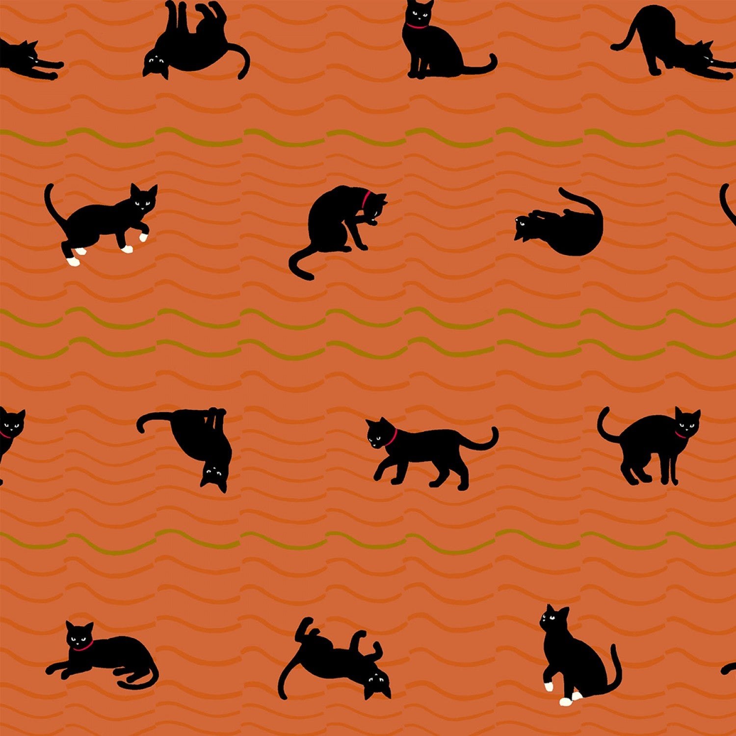 Neko IV - Cats in Orange