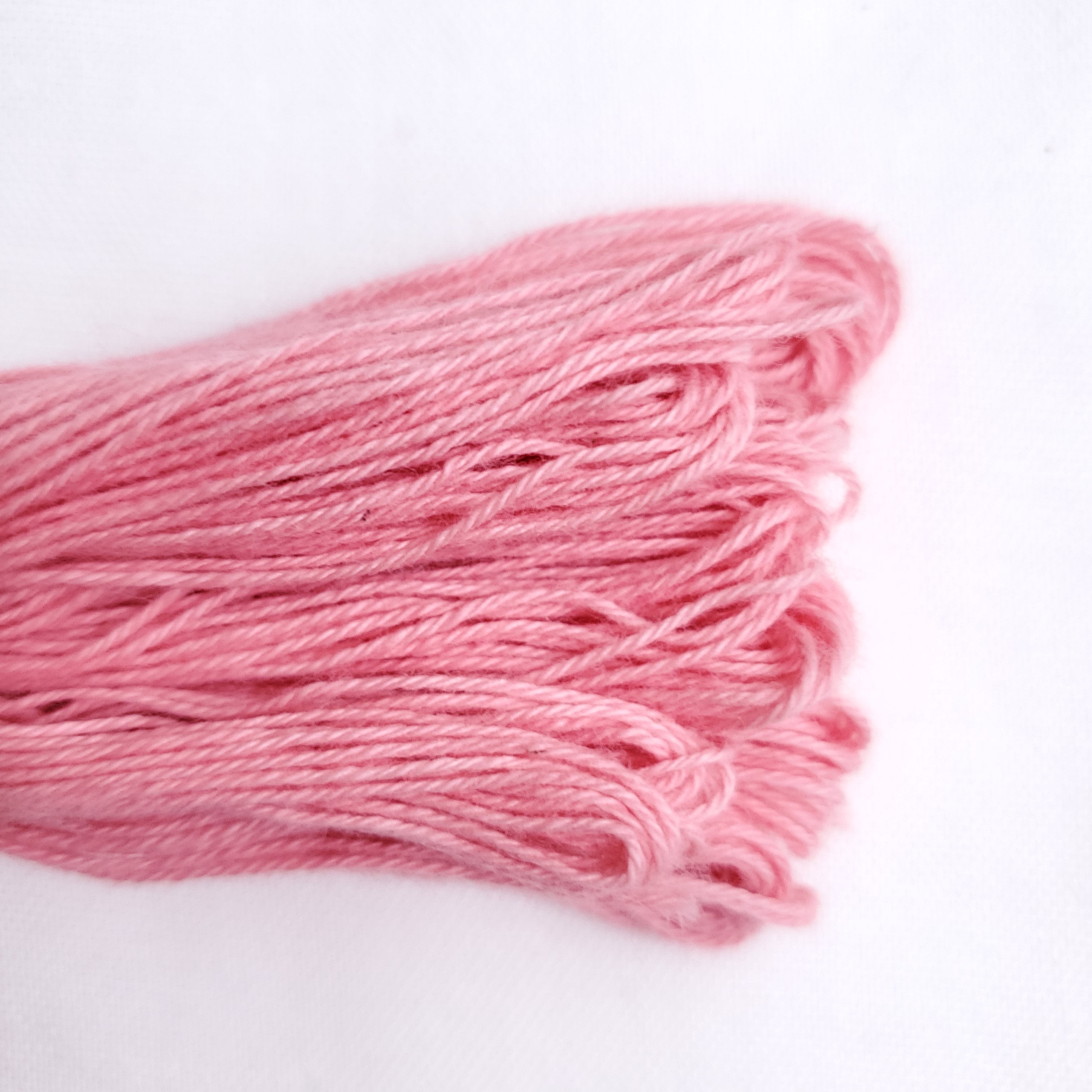 Natural Dyed Embroidery Thread - Color R9