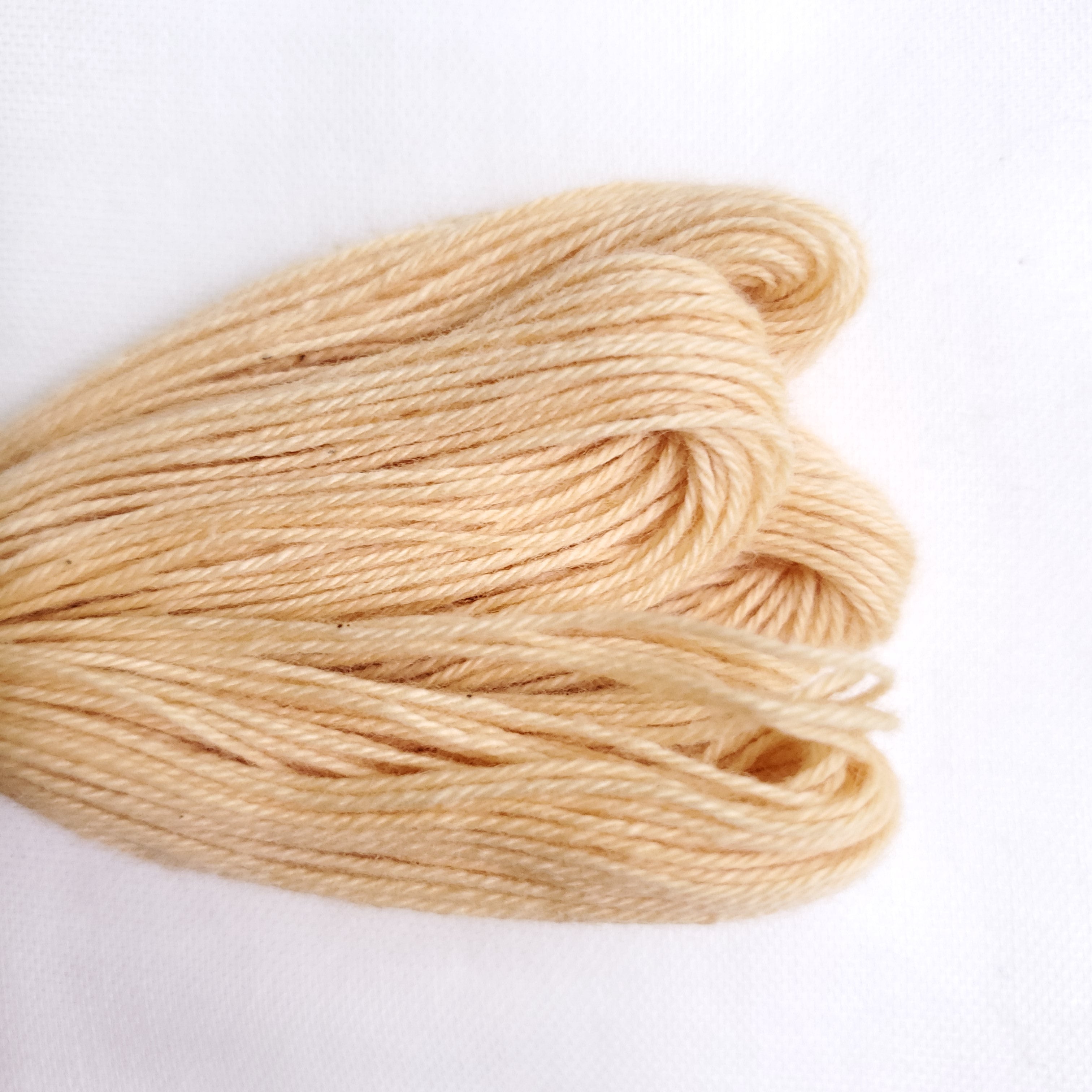 Natural Dyed Embroidery Thread - Color Y13