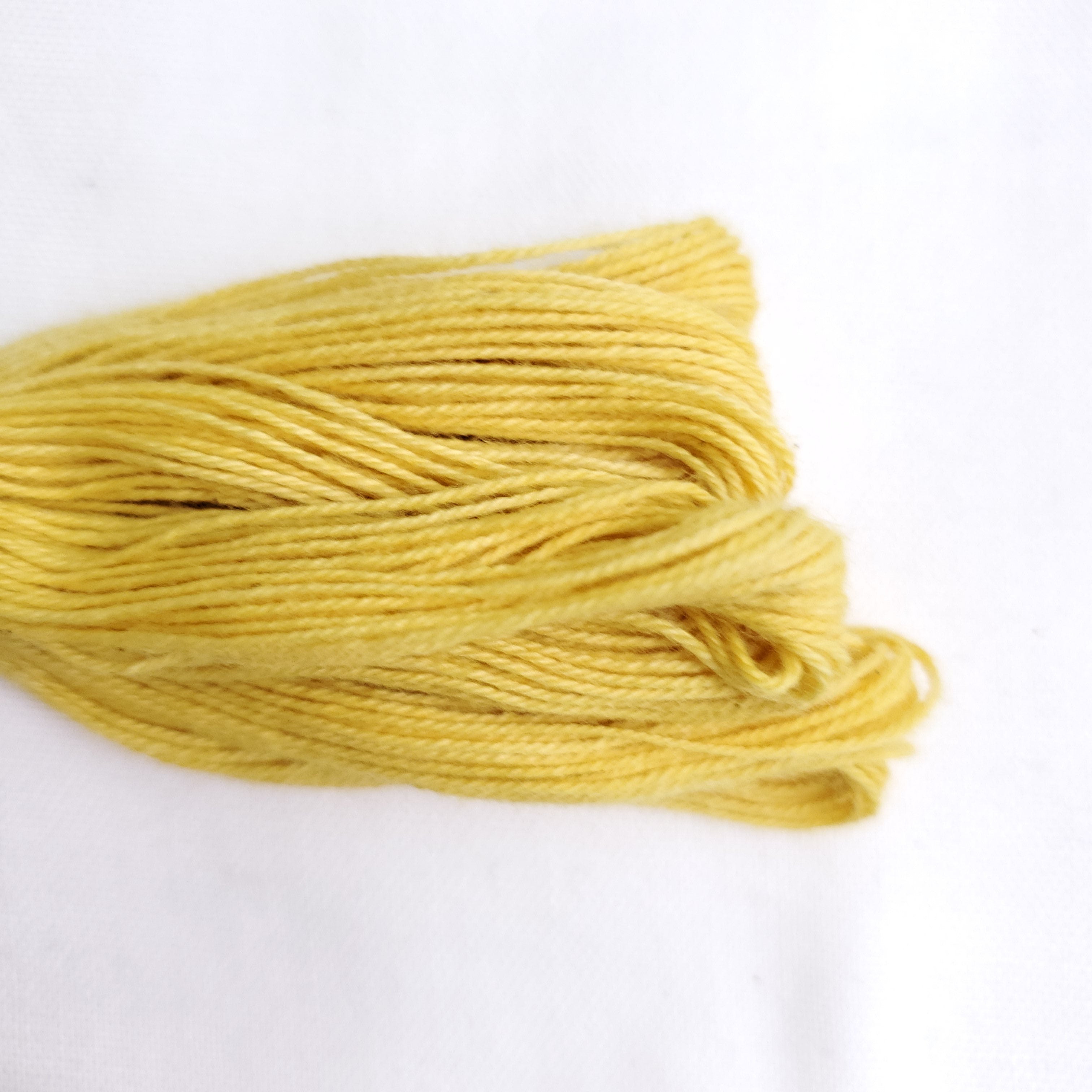 Natural Dyed Embroidery Thread - Color Y5