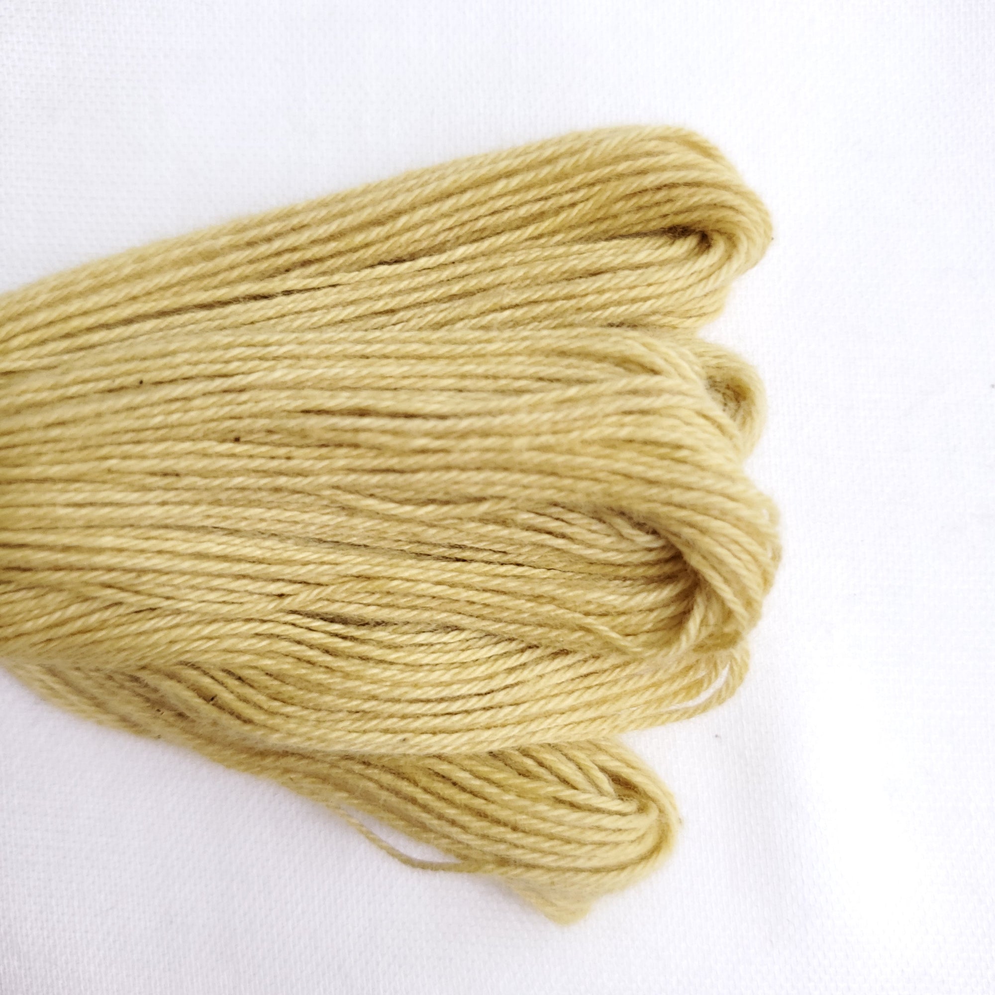 Natural Dyed Embroidery Thread - Color Y8
