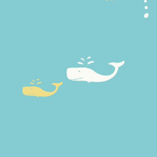 Storyboek - Whale Watch | Organic Poplin